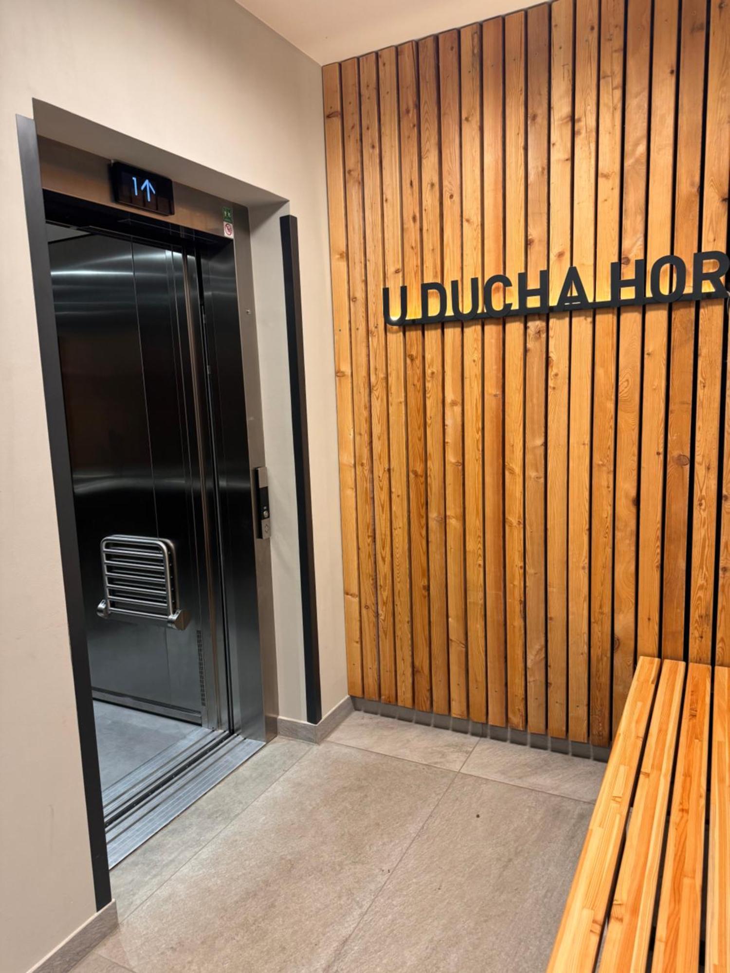 Luxusni Apartman Grand V Centru Harrachova Se Soukromou Mega Terasou, S Privatnim Parkovanim Zdarma, S Moznosti Dobijeni Wallbox Ev A Vyhledem Na Harrachovsky Kostelicek المظهر الخارجي الصورة